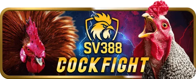 Giao diện nền tảng cá cược thể thao bet88keo win hiển thị các trận đấu và kèo cược đang diễn ra, với logo thương hiệu nổi bật